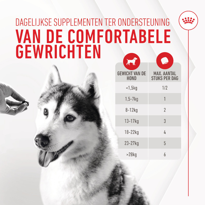 Royal Canin Joint & Ageing Chews voedingssupplement hond