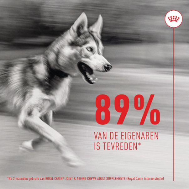 Royal Canin Joint & Ageing Chews voedingssupplement hond