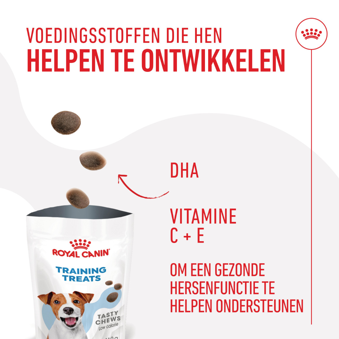 Royal Canin Educ Trainingssnack voor honden