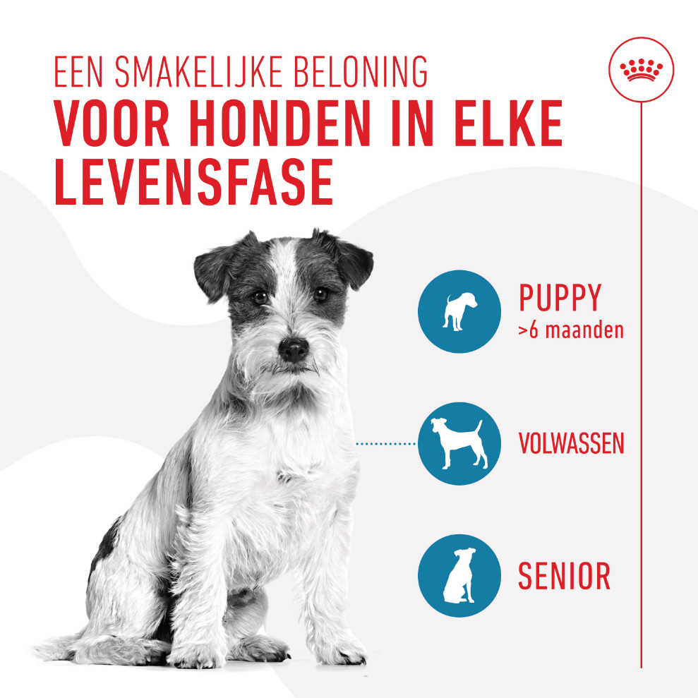 Royal Canin Educ Trainingssnack voor honden