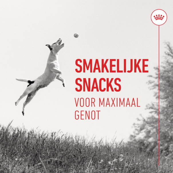 Royal Canin Educ Trainingssnack voor honden