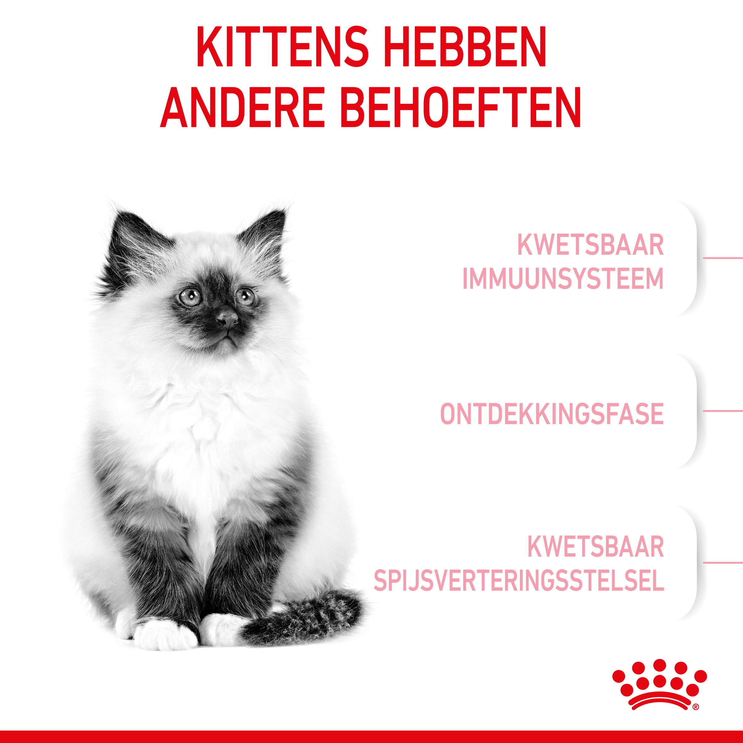 Royal Canin Kitten kattenvoer