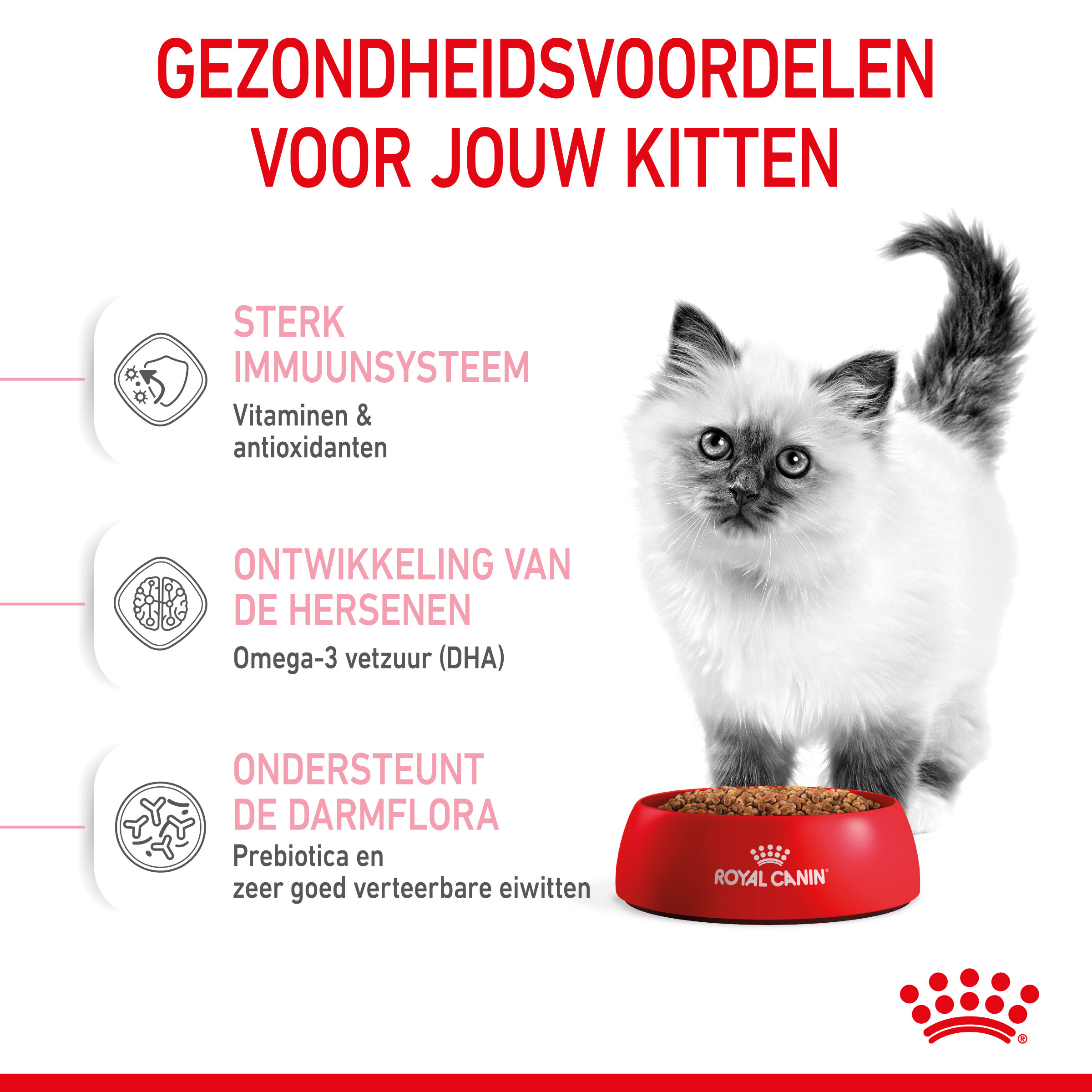 Royal Canin Kitten kattenvoer