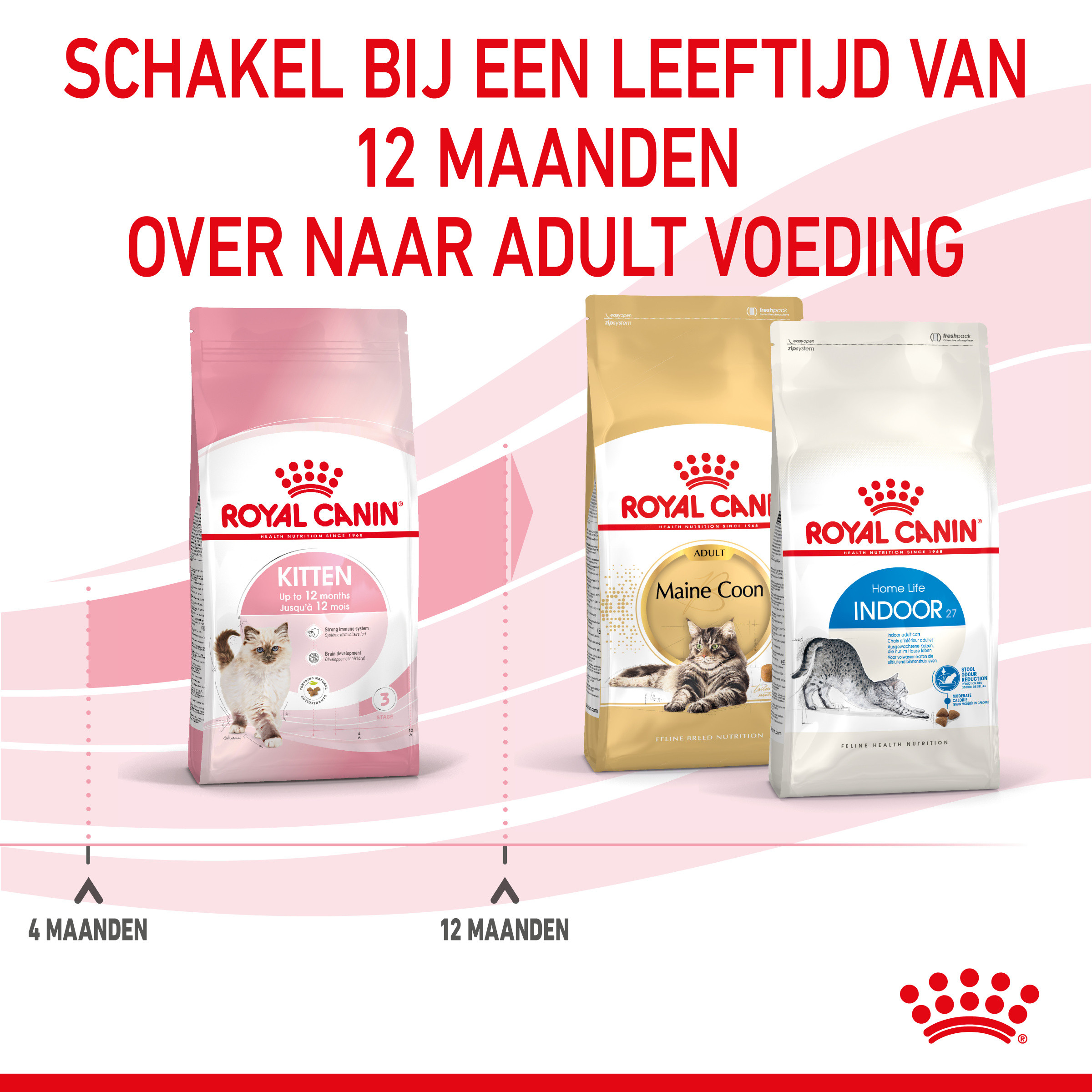 Royal Canin Kitten kattenvoer