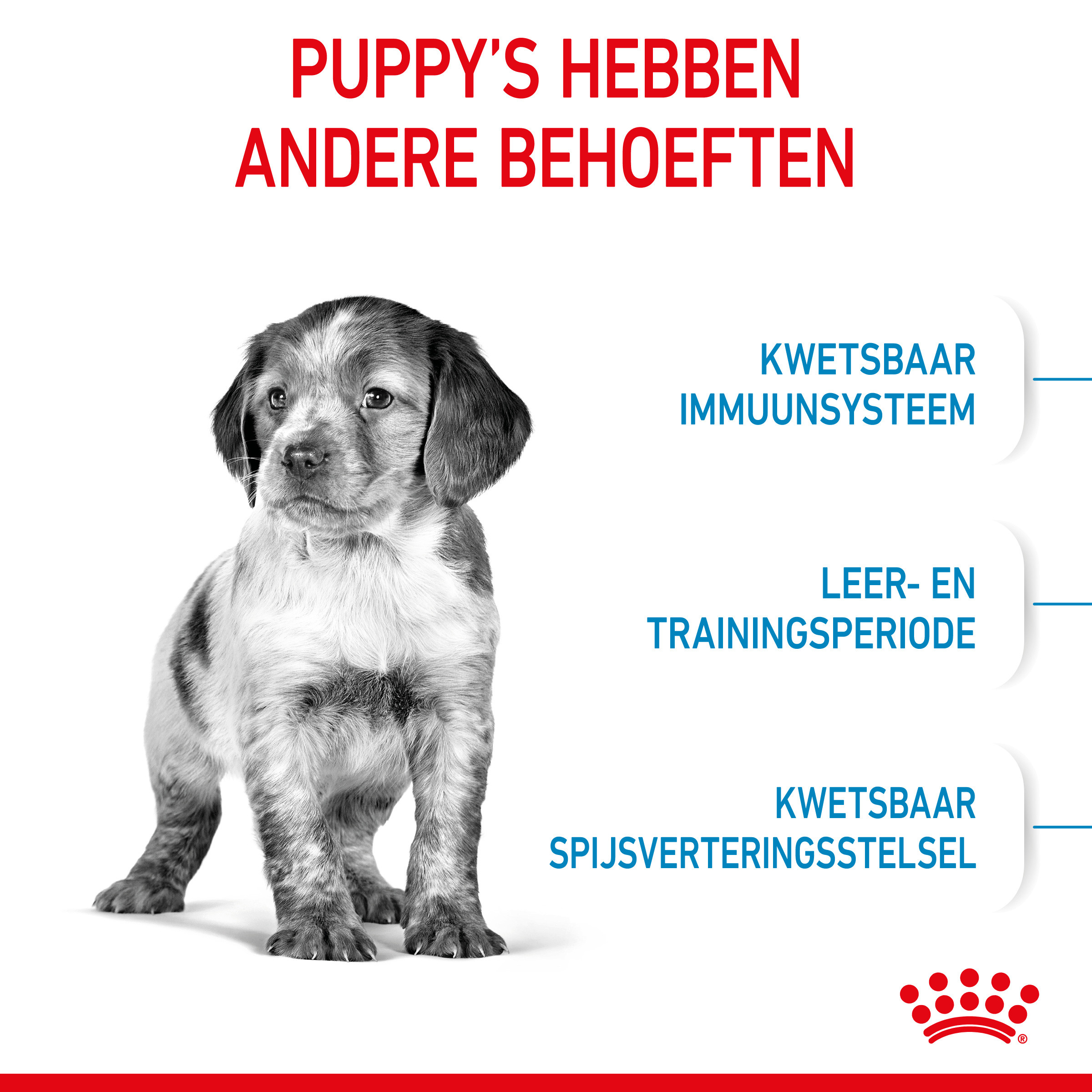 Royal Canin Medium Puppy hondenvoer