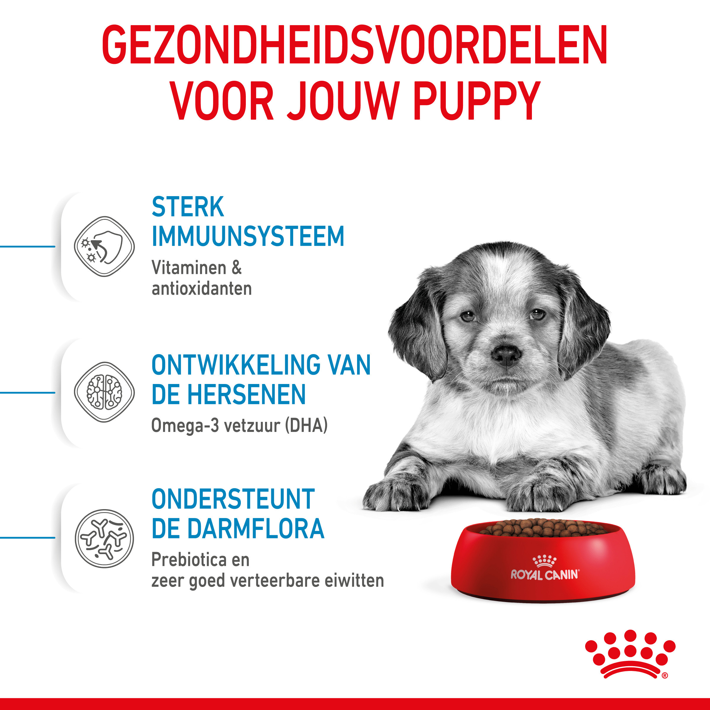 Royal Canin Medium Puppy hondenvoer