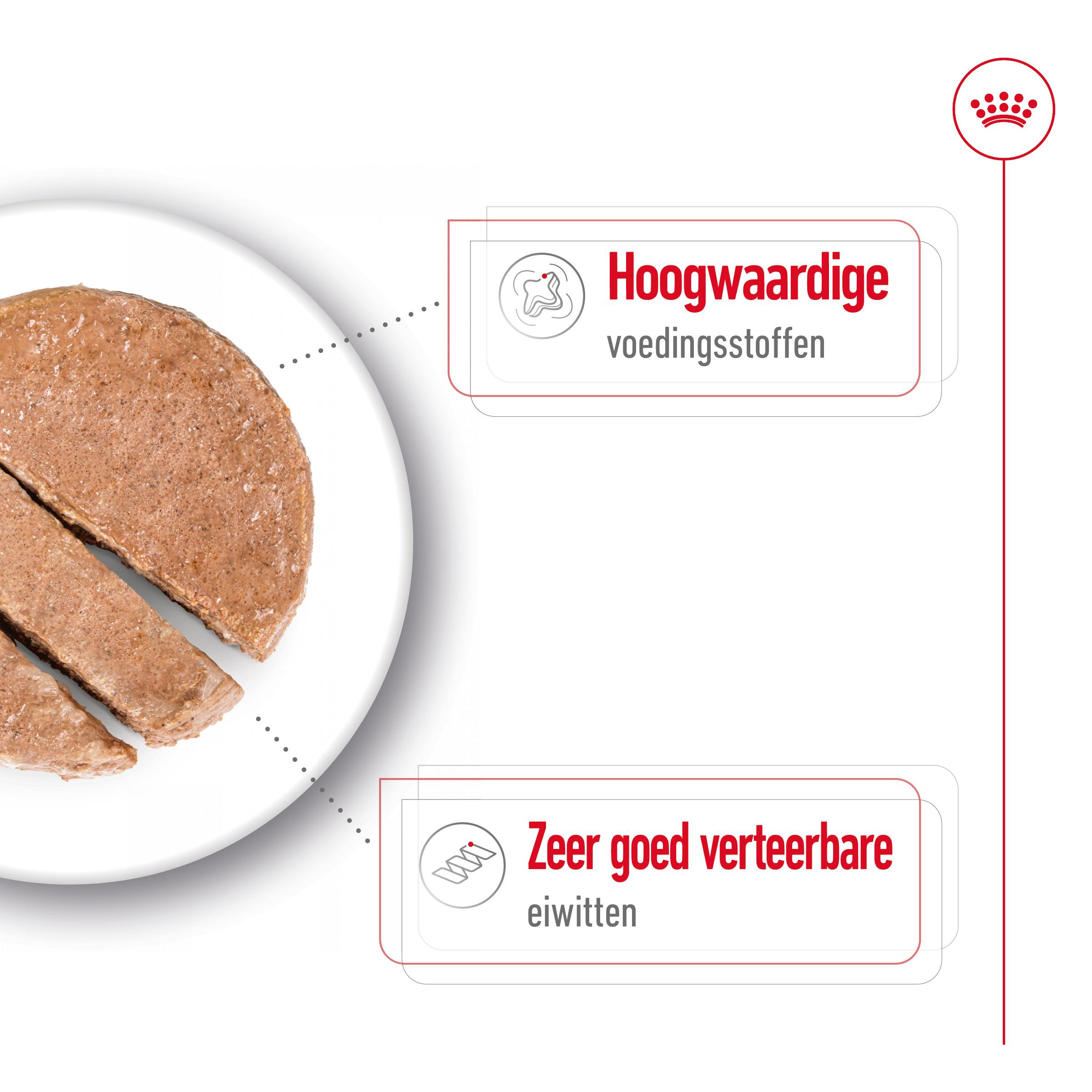 Royal Canin Maxi Adult Loaf natvoer hond
