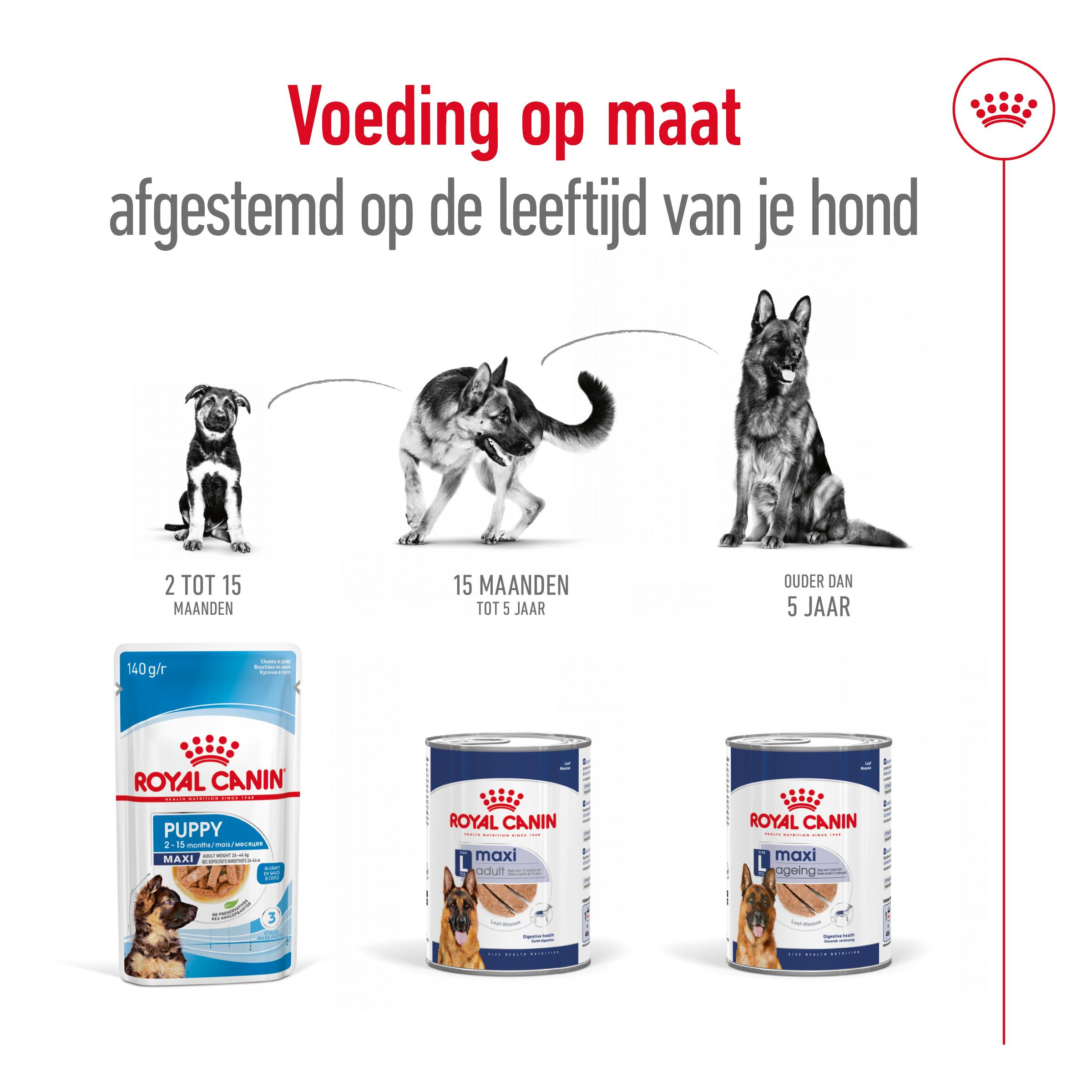 Royal Canin Maxi Adult Loaf natvoer hond