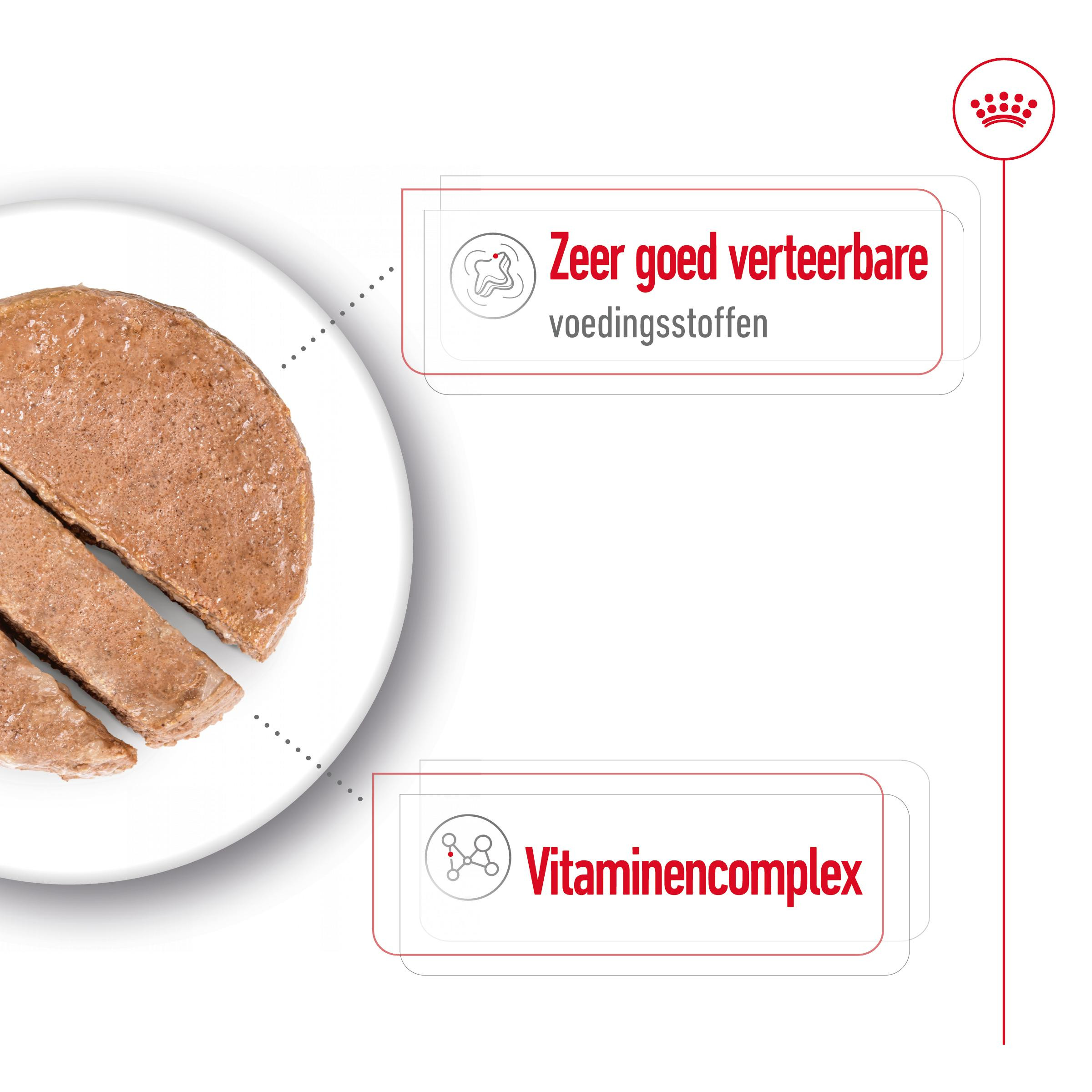 Royal Canin Mini Adult Loaf natvoer hond