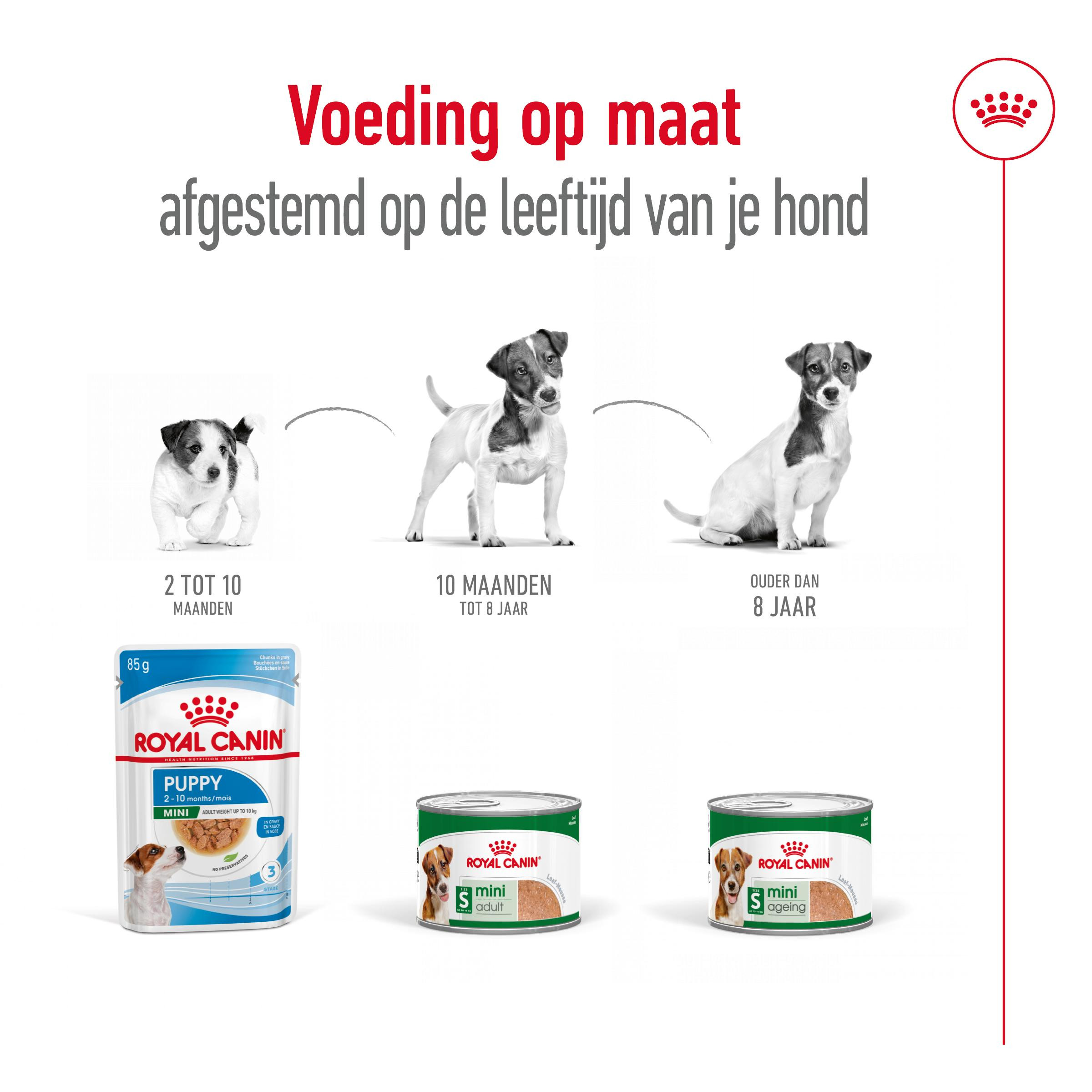 Royal Canin Mini Adult Loaf natvoer hond