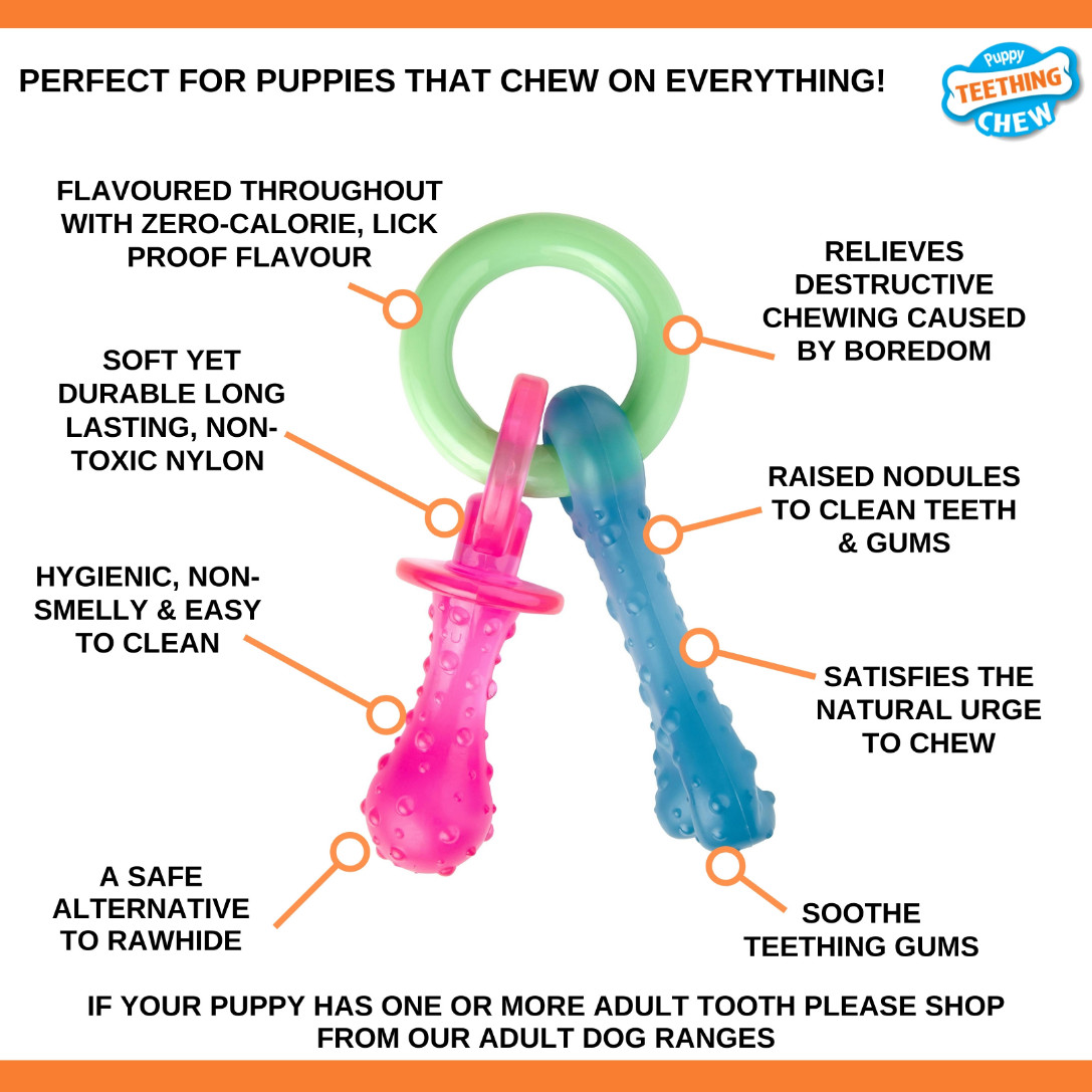 Nylabone Puppy Teething Chew bijtring (baconsmaak)