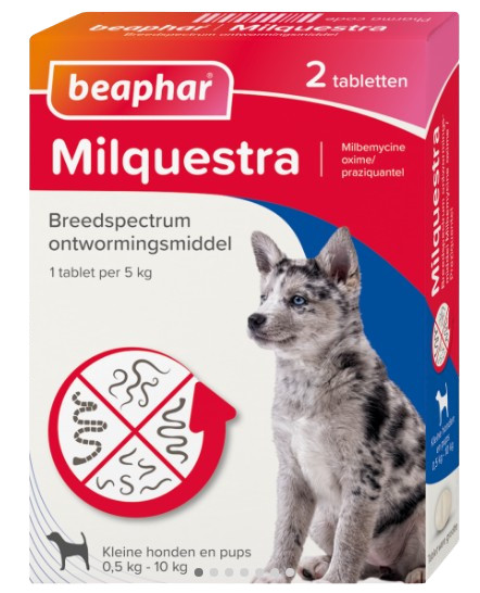 Beaphar Milquestra ontwormingsmiddel kleine hond en puppy