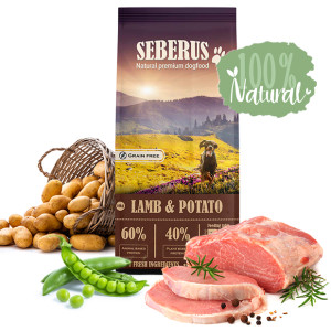 Handig! Een veganistisch eetdagboek met 10 menu’s. - Living the Green Life Handig! Een veganistisch eetdagboek met 10 menu’s. - Living the Green Life