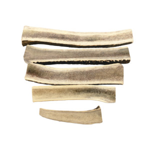 Brekz Snacks - Split Antler voor de hond S-M - Per 2