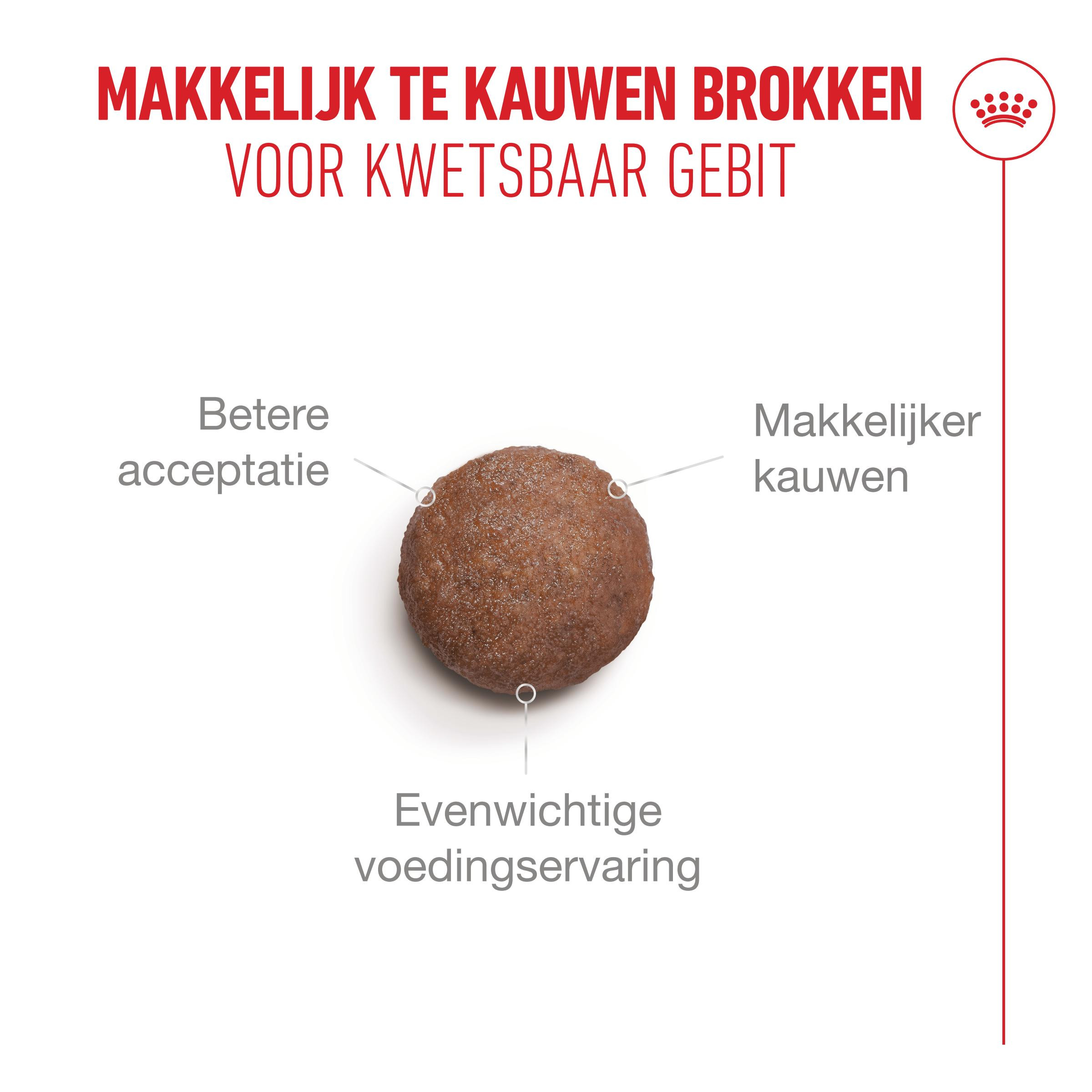 Royal Canin Ageing 15+ kattenvoer