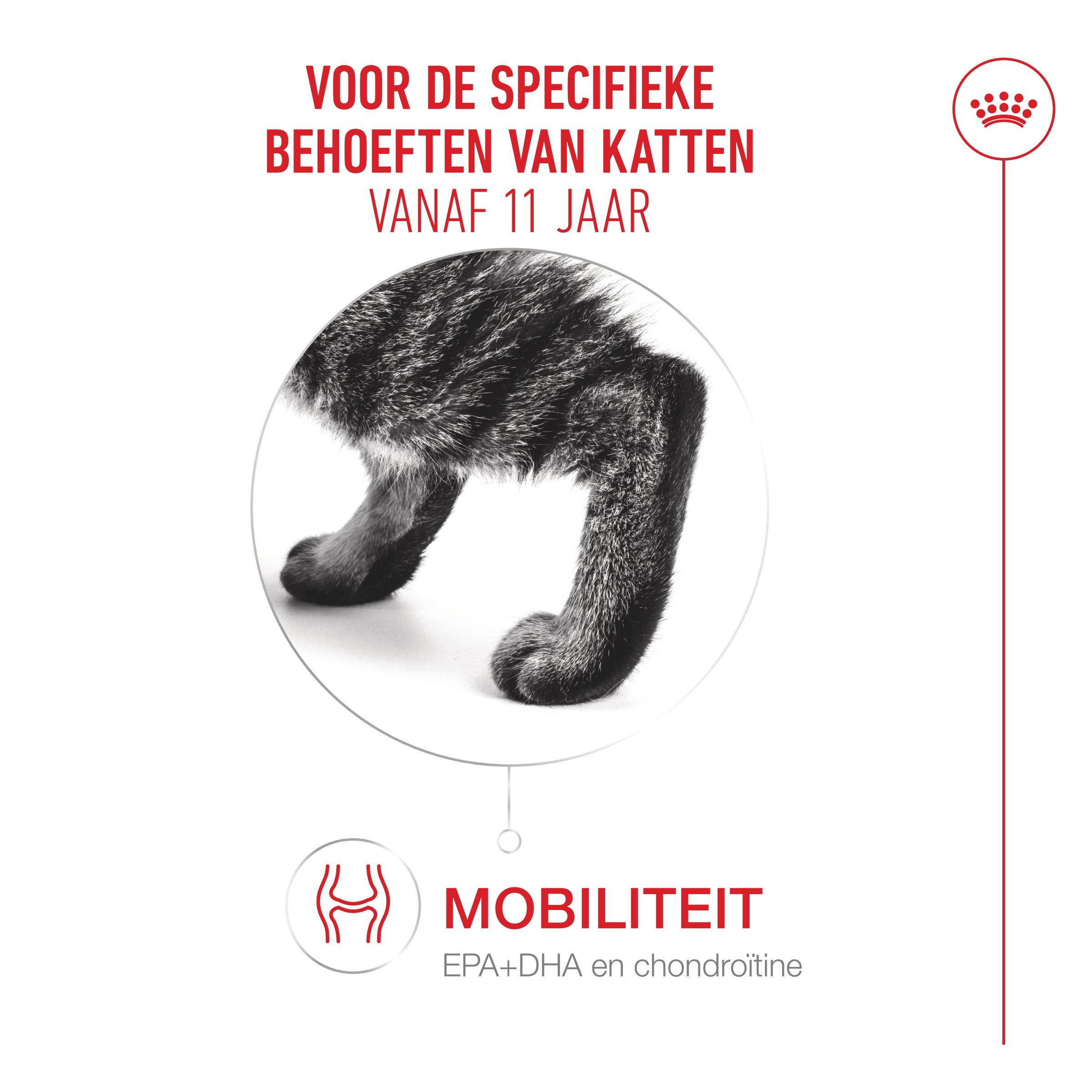 Royal Canin Ageing 11+ kattenvoer