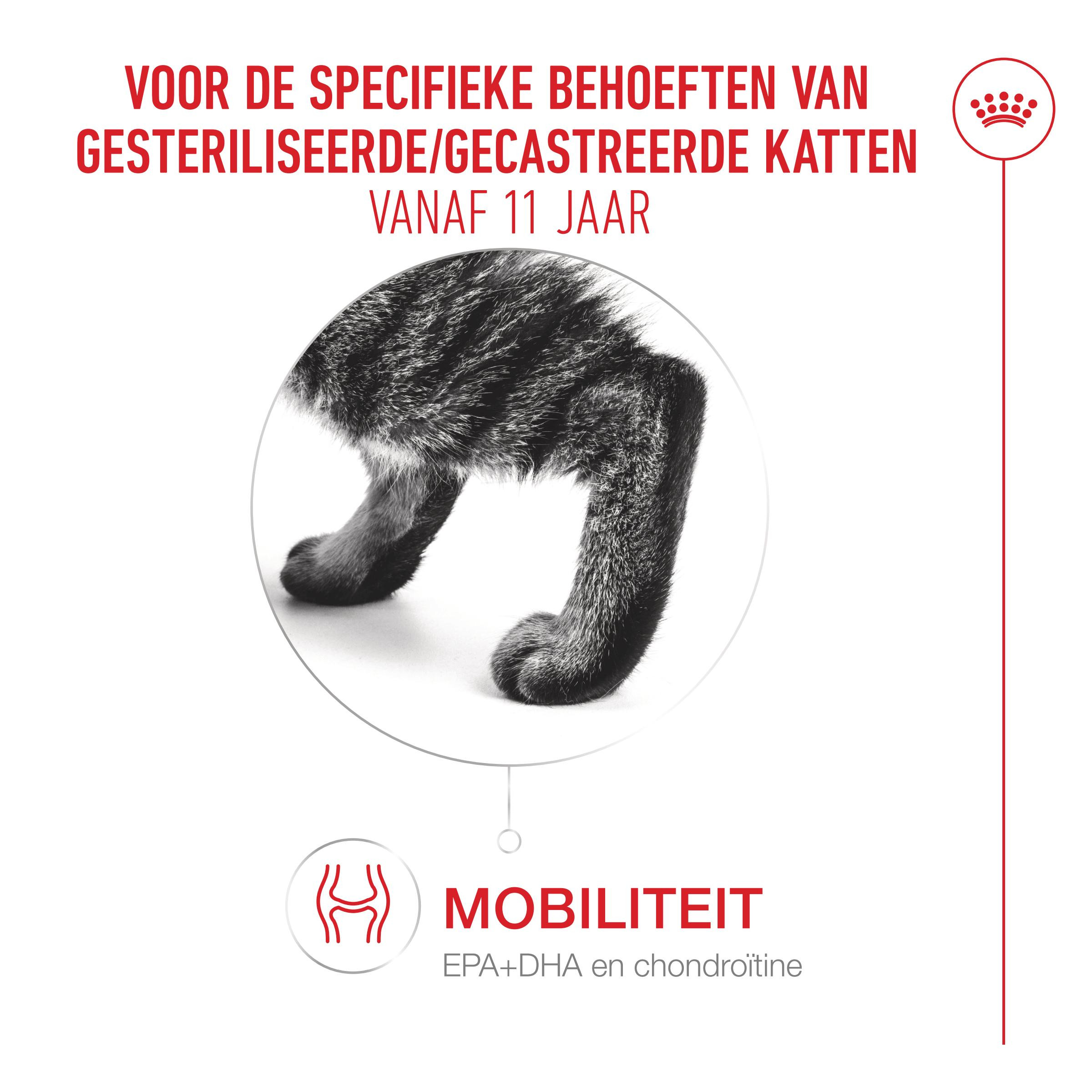 Royal Canin Ageing Sterilised 11+ kattenvoer