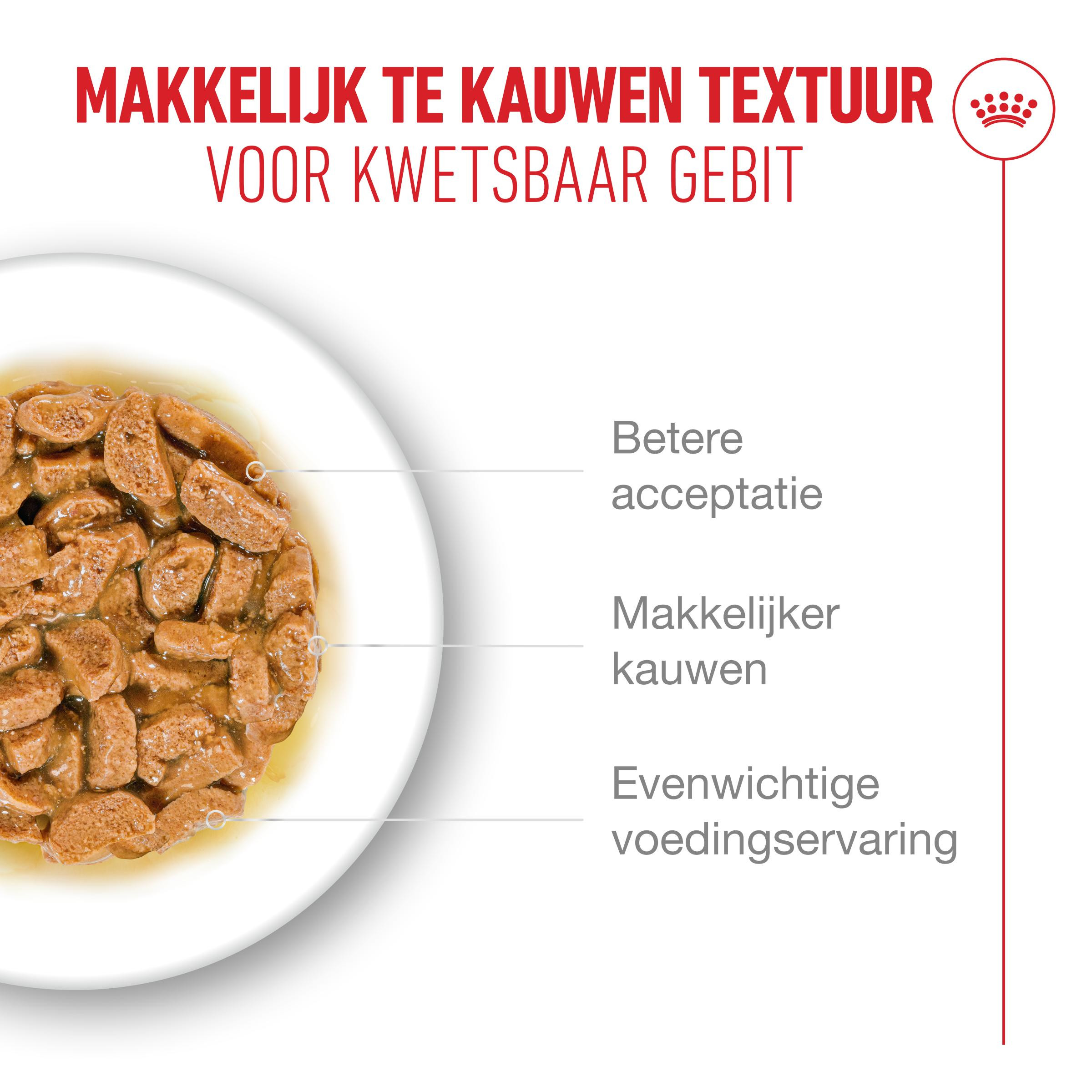 Royal Canin Ageing 11+ natvoer kat (in saus of gelei)