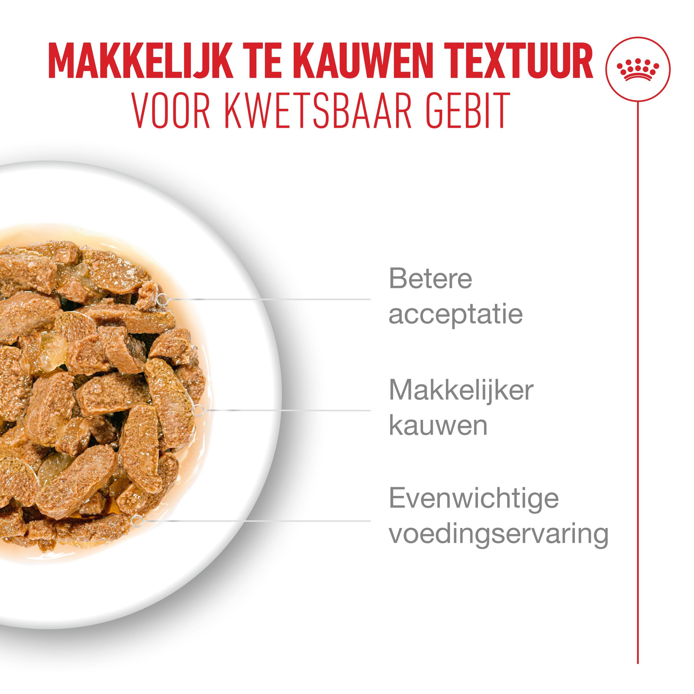 Royal Canin Ageing 11+ natvoer kat (in saus of gelei)
