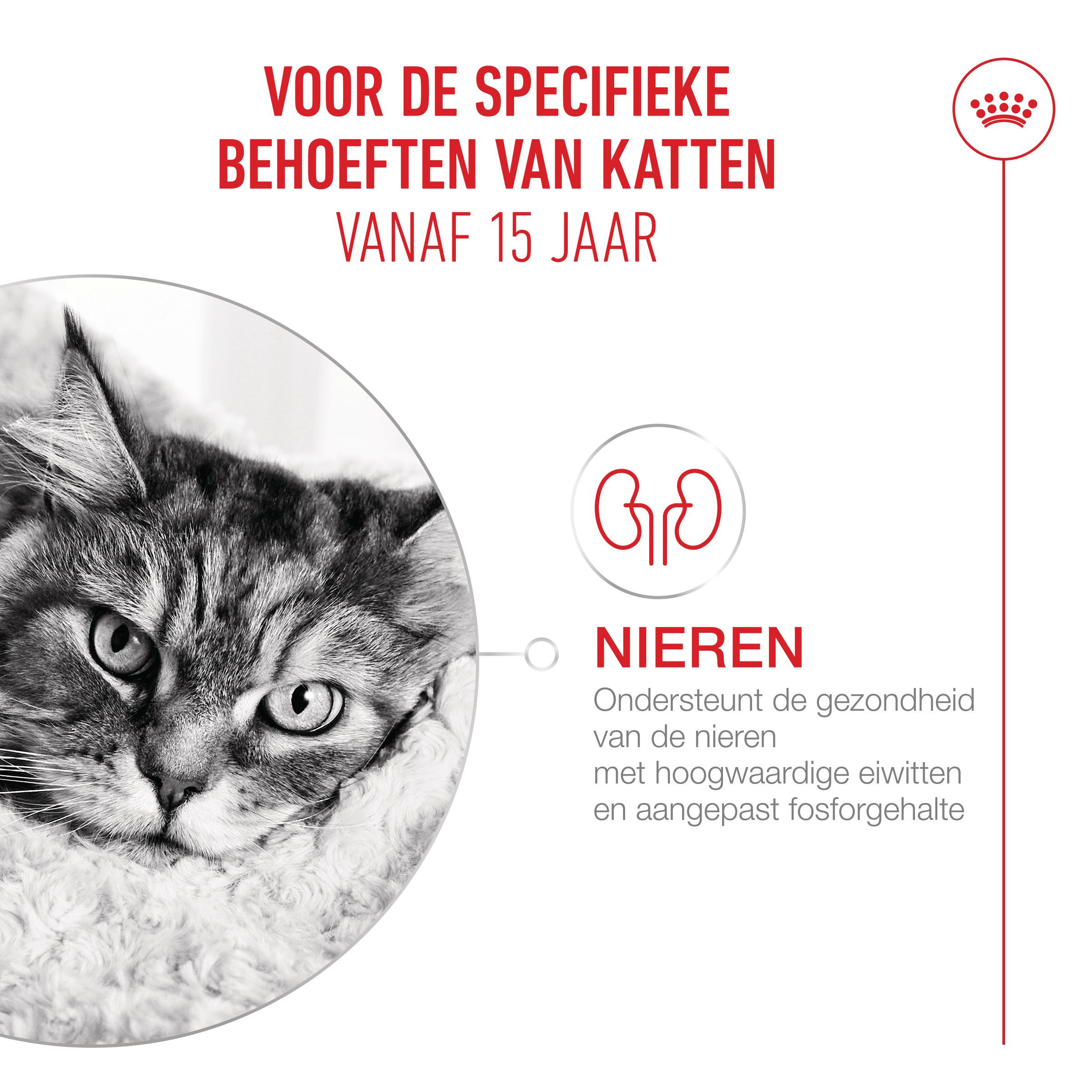 Royal Canin Ageing 15+ natvoer kat (in saus)