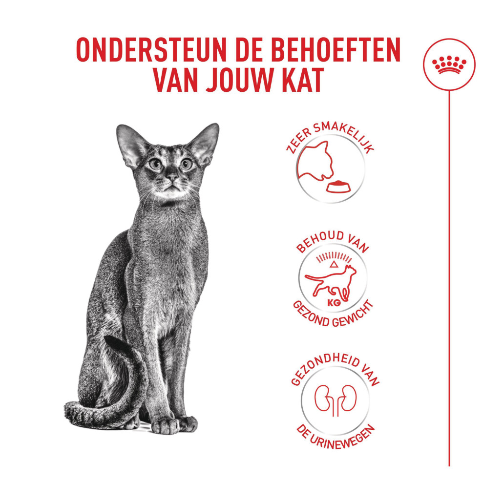 Royal Canin Fussy Exigent kattenvoer