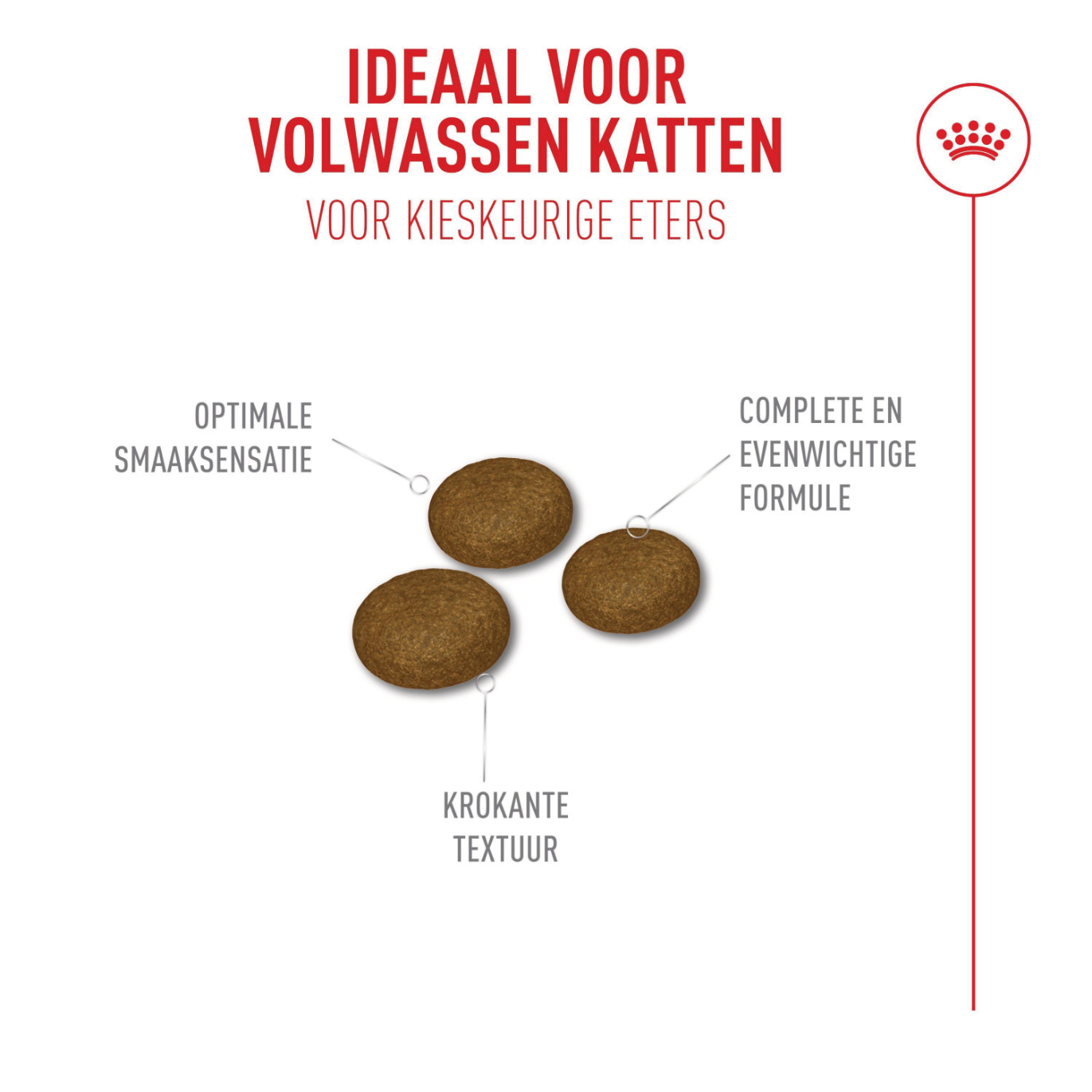 Royal Canin Fussy Exigent kattenvoer