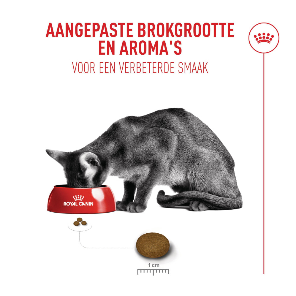 Royal Canin Fussy Exigent kattenvoer