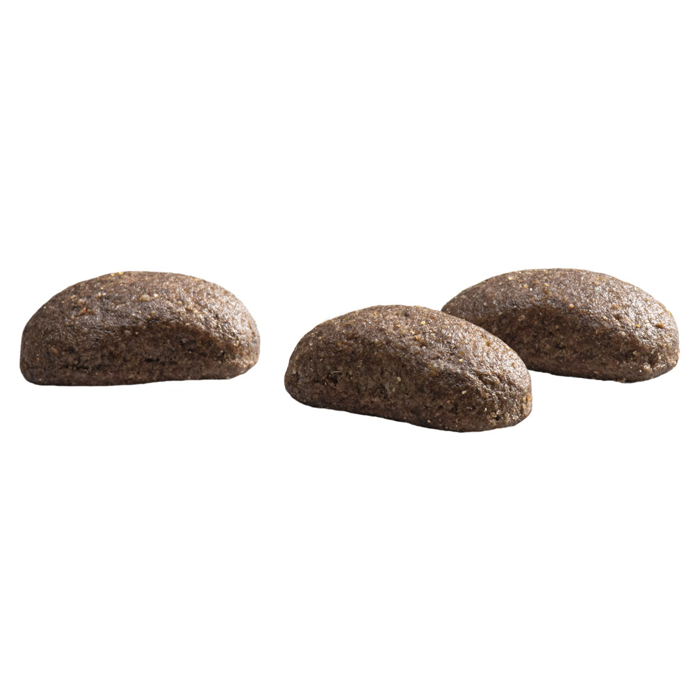 Prins Protection Croque Hypoallergenic met lam hondenvoer