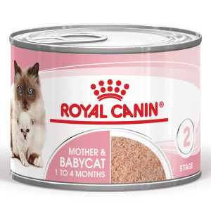 Royal Canin Mother & Babycat natvoer kat (mousse) 2 trays (24 x 195 g) afbeelding