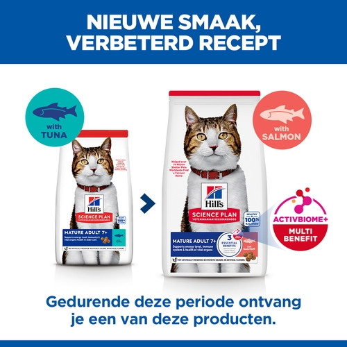transition nl