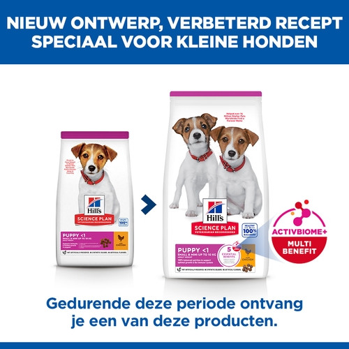 Hill's Puppy Small & Mini met kip hondenvoer