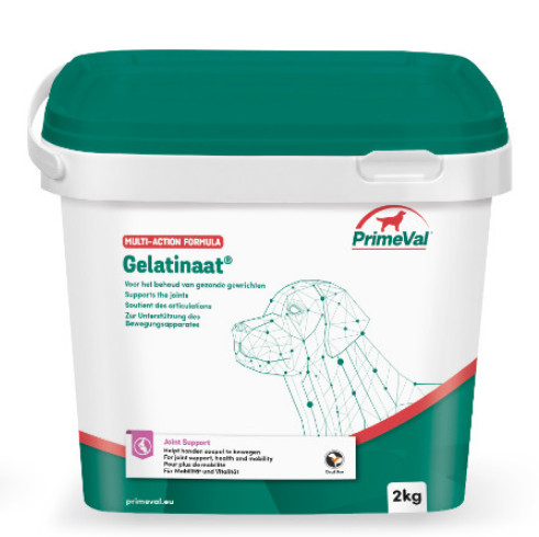 Primeval Gelatinaat