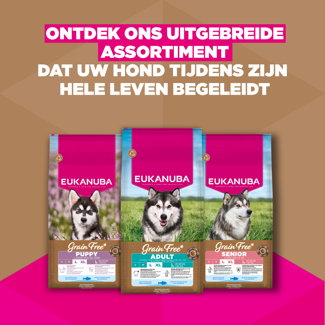 Eukanuba Puppy & Junior L/XL graanvrij zeevis hondenvoer