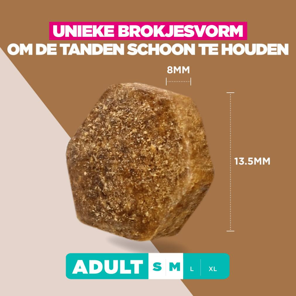 Eukanuba Adult S/M graanvrij zeevis hondenvoer