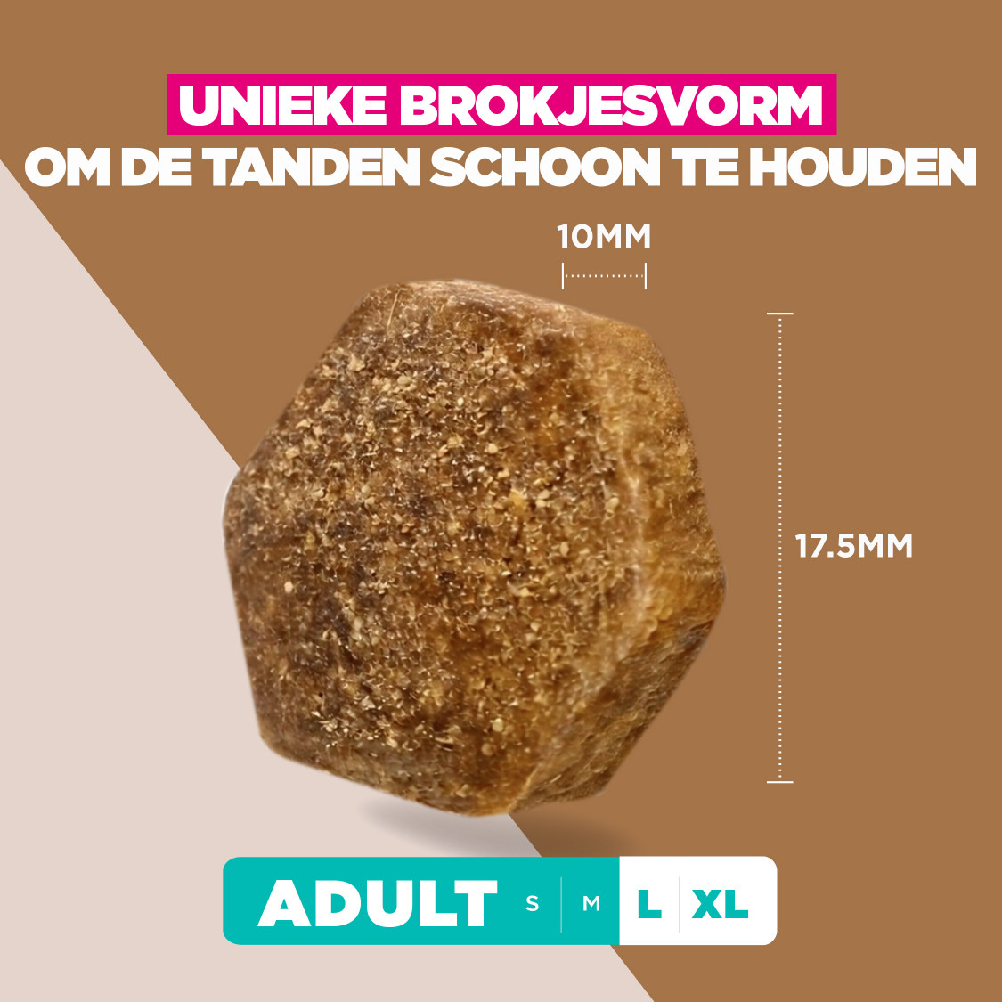 Eukanuba Adult L/XL graanvrij zeevis hondenvoer