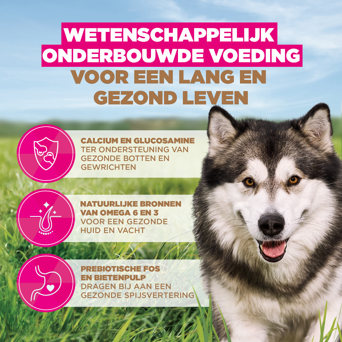 Eukanuba Adult L/XL graanvrij zeevis hondenvoer