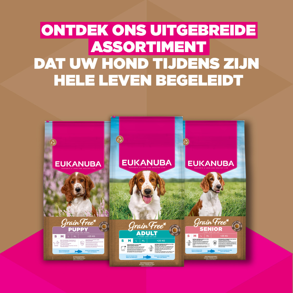 Eukanuba Senior Small & Medium met oceaanvis graanvrij hondenvoer