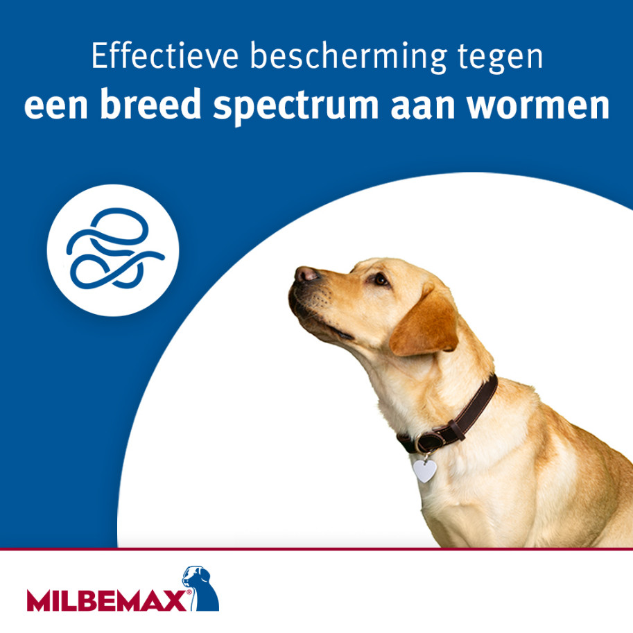 Milbemax ontwormingstabletten kleine honden en puppies