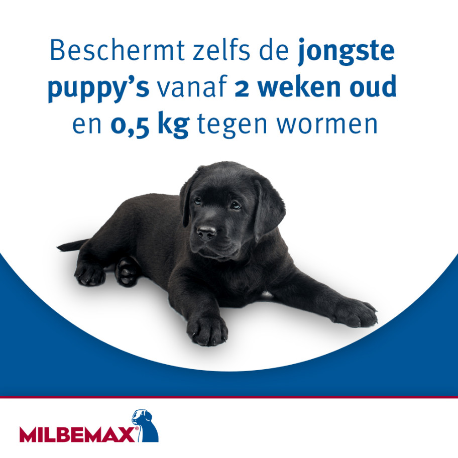 Milbemax ontwormingstabletten kleine honden en puppies