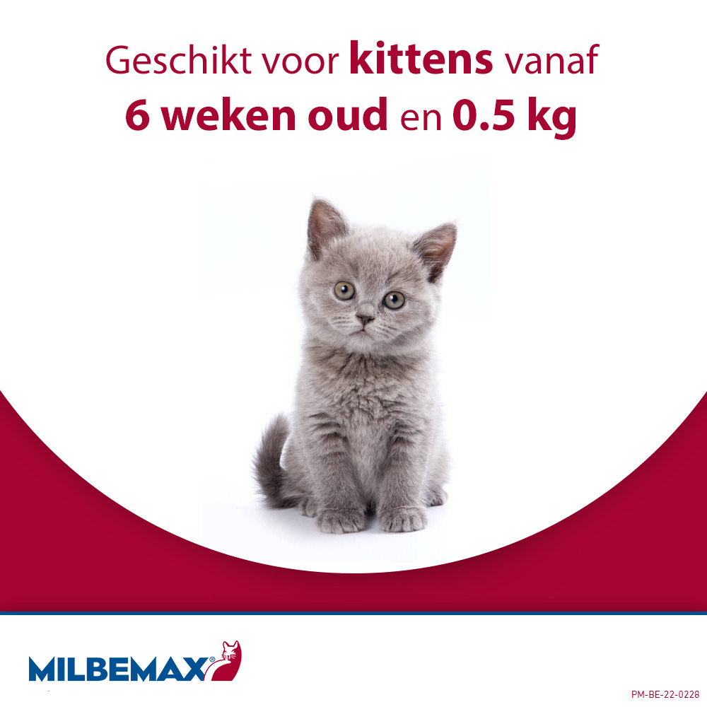 Milbemax Kleine katten en kittens