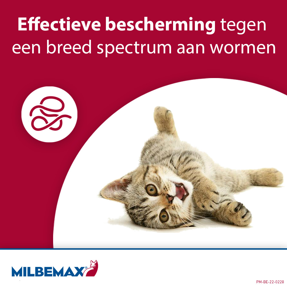 Milbemax Kleine katten en kittens