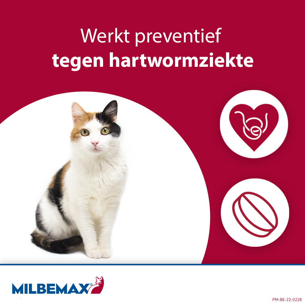 Milbemax Kleine katten en kittens