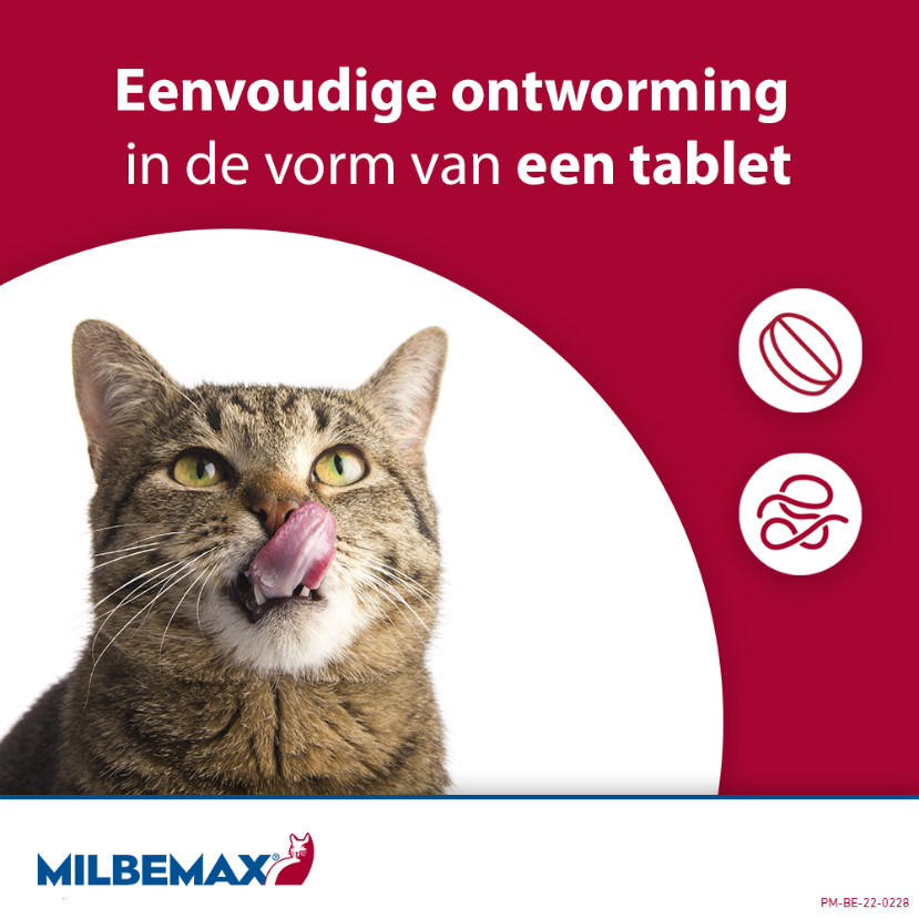 Milbemax ontwormingstabletten kat 2+ kg