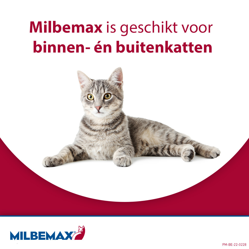 Milbemax ontwormingstabletten kat 2+ kg