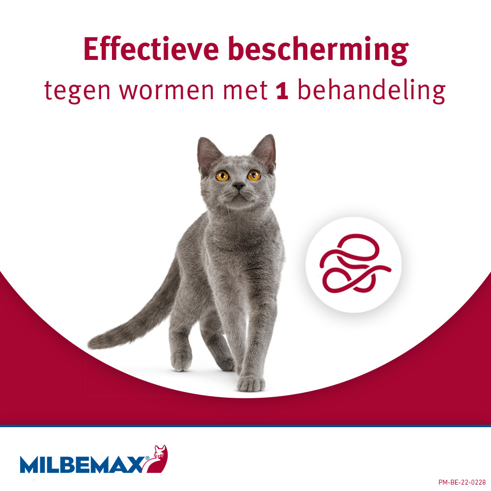 Milbemax ontwormingstabletten kat 2+ kg