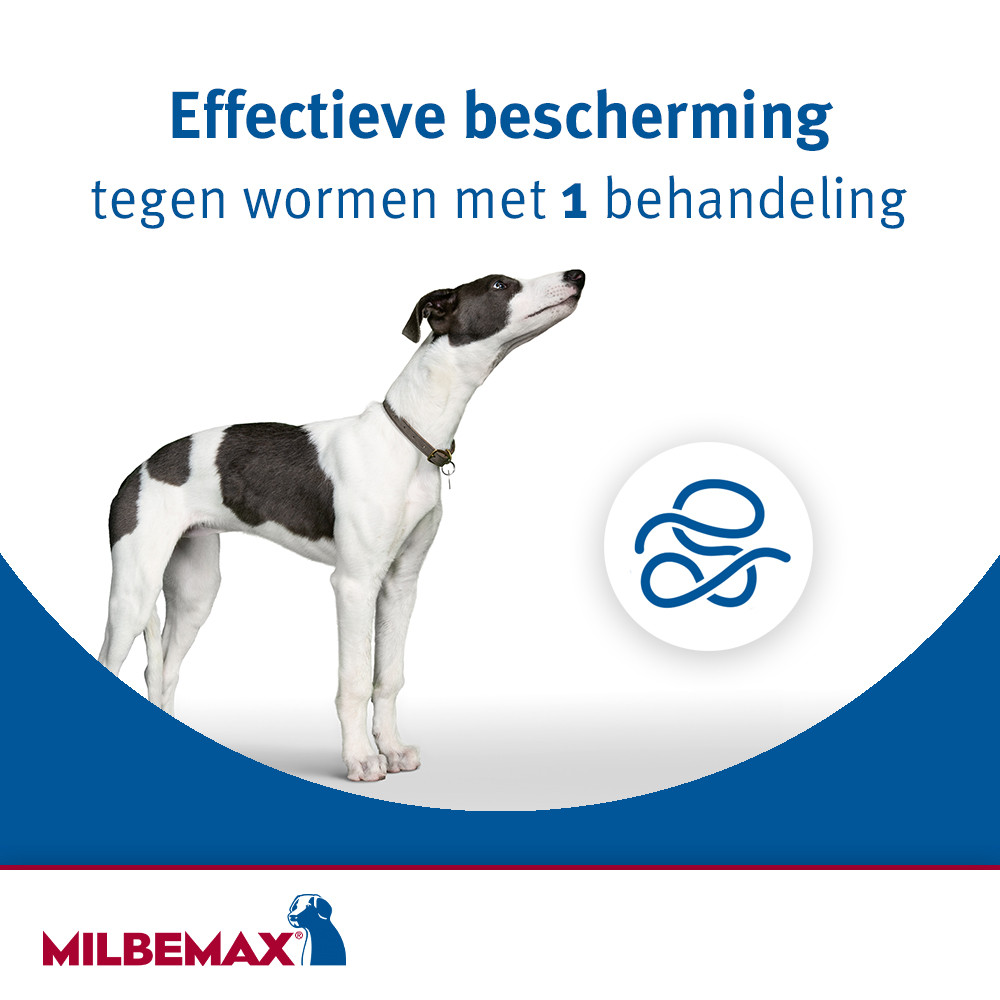 Milbemax kauwtabletten hond vanaf 5 kg