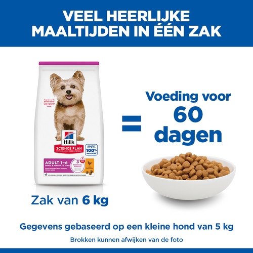 NL