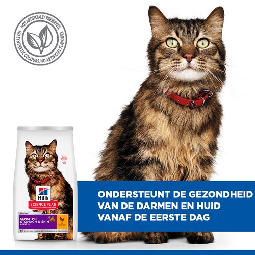 Hill's Adult Sensitive Stomach & Skin met kip kattenvoer