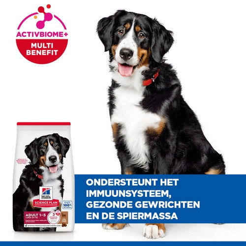 Hill's Adult Large met lam & rijst hondenvoer