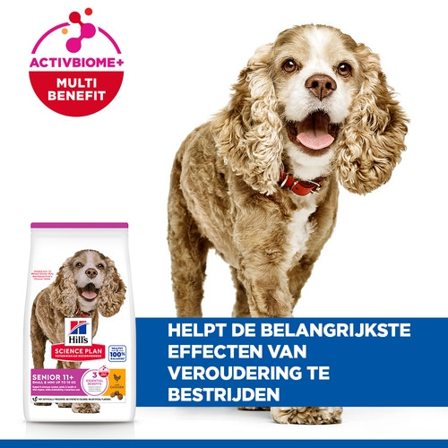 Hill's Senior Small & Mini met kip hondenvoer